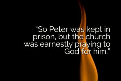 Acts: Peter's Miraculous Escape
