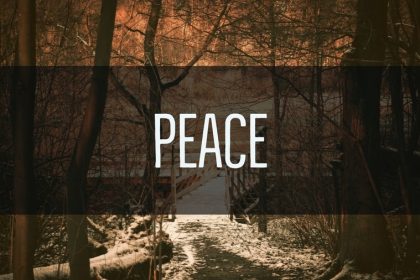 Jesus: Prince of Peace